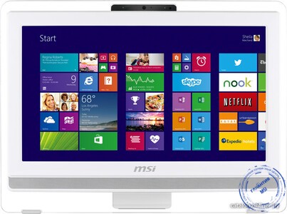 моноблок MSI AE201-020RU